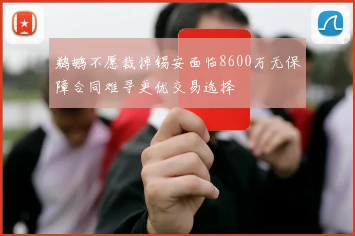 鹈鹕不愿裁掉锡安面临8600万无保障合同难寻更优交易选择