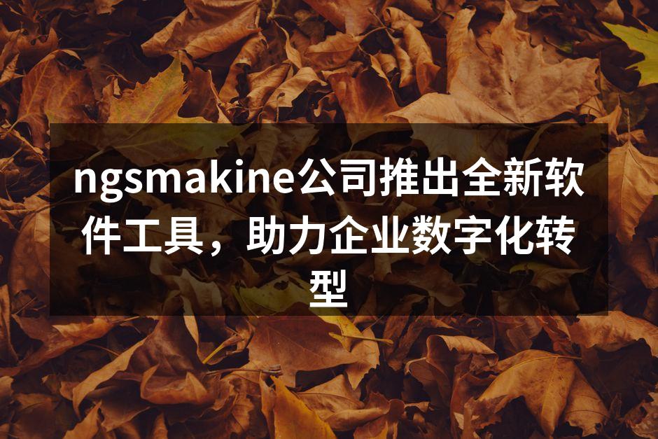 ngsmakine公司推出全新软件工具,助力企业数字化转型