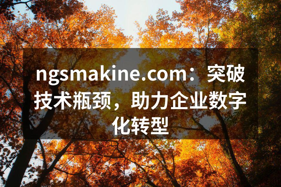 ngsmakine.com团队积极参与技术创新